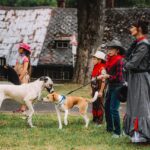 Otevřené ulice v Horním Maršově