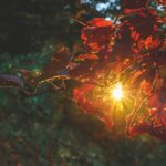 Maličkosti fotografky Lenky Hurdálkové