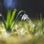 Maličkosti fotografky Lenky Hurdálkové