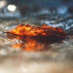 Maličkosti fotografky Lenky Hurdálkové