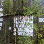 Unikátní Drajborna sobě slavila 10 let