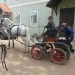 Letní aktivity klubu vozíčkářů