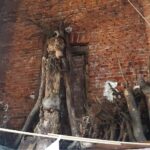 Derniéry v Rotundě sv. Zdendyse