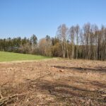 Příprava dálnice D11 u Trutnova