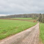 Příprava dálnice D11 u Trutnova