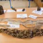 Den otevřených dveří na ZŠ Mládežnická v Trutnově