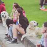 13. ročník závodu dračích lodí Draci na Dolcích