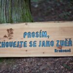 Dračí slavnosti, páteční večer