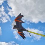 Drakiáda na letišti ve Volanově