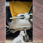 Drakiáda na letišti ve Volanově