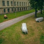 Projekt EPO1 Sochy ve městě