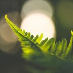 Maličkosti fotografky Lenky Hurdálkové
