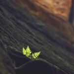 Maličkosti fotografky Lenky Hurdálkové