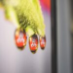 Maličkosti fotografky Lenky Hurdálkové