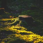 Maličkosti fotografky Lenky Hurdálkové