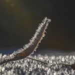 Maličkosti fotografky Lenky Hurdálkové