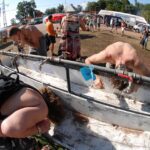 „Český Woodstock“ aneb Z historie festivalu