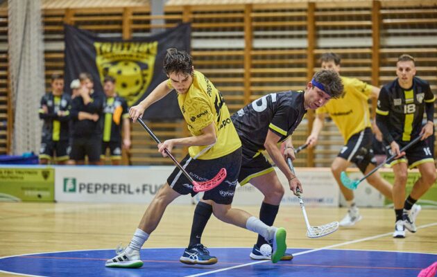 Trutnov ztratil zápas ve třetí třetině, neuhlídal Reczaie