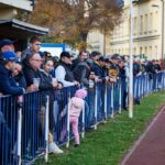 Fotbalová divize C: Dvůr Králové - Trutnov