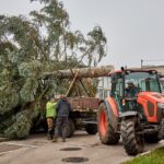 Vánoční strom pro centrum Trutnova