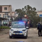 Vánoční strom pro centrum Trutnova