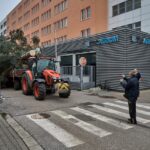 Vánoční strom pro centrum Trutnova