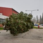 Vánoční strom pro centrum Trutnova