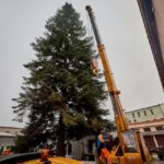 Vánoční strom pro centrum Trutnova