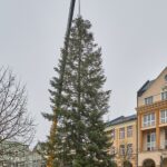 Vánoční strom pro centrum Trutnova