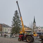 Vánoční strom pro centrum Trutnova