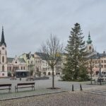 Vánoční strom pro centrum Trutnova
