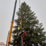Vánoční strom pro centrum Trutnova