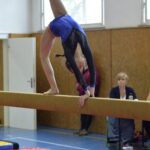 37. ročník závodu O Trautenberkův korbel a okresní přebor v gymnastice