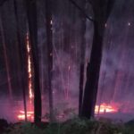 Královéhradečtí hasiči pomáhají v boji s ohněm v Českém Švýcarsku