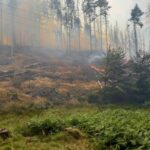 Královéhradečtí hasiči pomáhají v boji s ohněm v Českém Švýcarsku