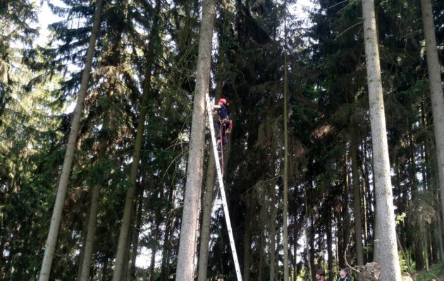 Hasiči zachraňovali paraglidisty