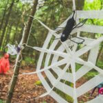 Den otevřených lesů a Hmyzáci v Trutnově
