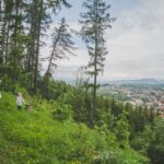 Den otevřených lesů a Hmyzáci v Trutnově