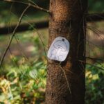 Oslavy houbaření a přírody v lesoparku