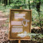 Oslavy houbaření a přírody v lesoparku