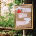 Oslavy houbaření a přírody v lesoparku