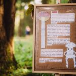 Oslavy houbaření a přírody v lesoparku