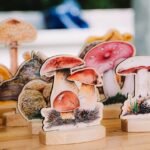 Oslavy houbaření a přírody v lesoparku