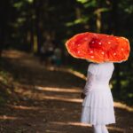 Oslavy houbaření a přírody v lesoparku