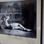 V křivkách, výstava polských a českých fotografů
