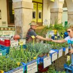 Tradiční Trutnovský jarmark