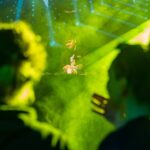 Kapitán Demo a DJ Roxtar v Uffu