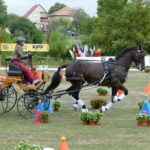 Vozatajové z JK Nývlt Teamu ve Rtyní v Podkrkonoší