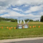 Krakonošův cyklomaraton - 11. ročník