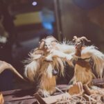 Krampusáci v Dolcích